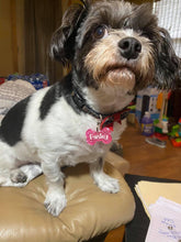 Load image into Gallery viewer, Bone Tag