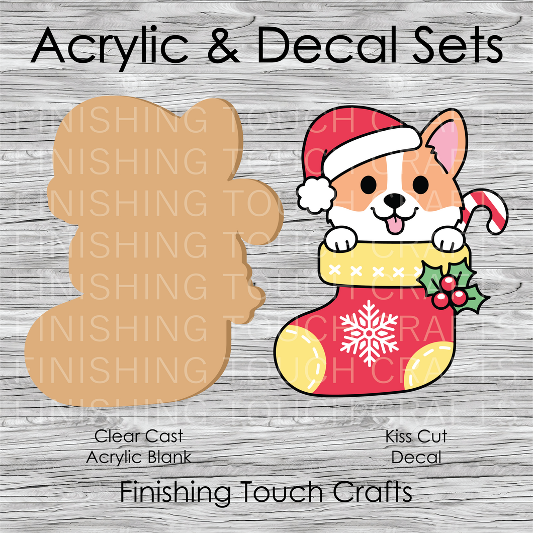 Corgi in Stocking