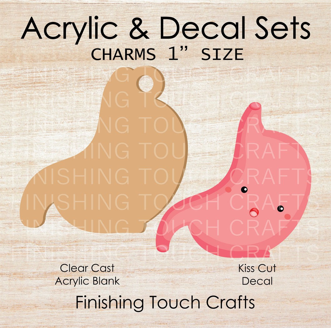 Stomach Charm Set of 4