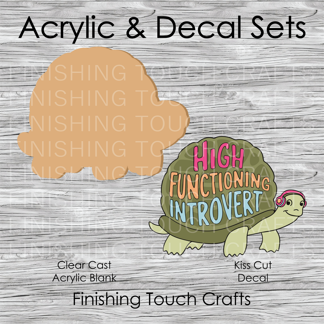 High Functioning Introvert