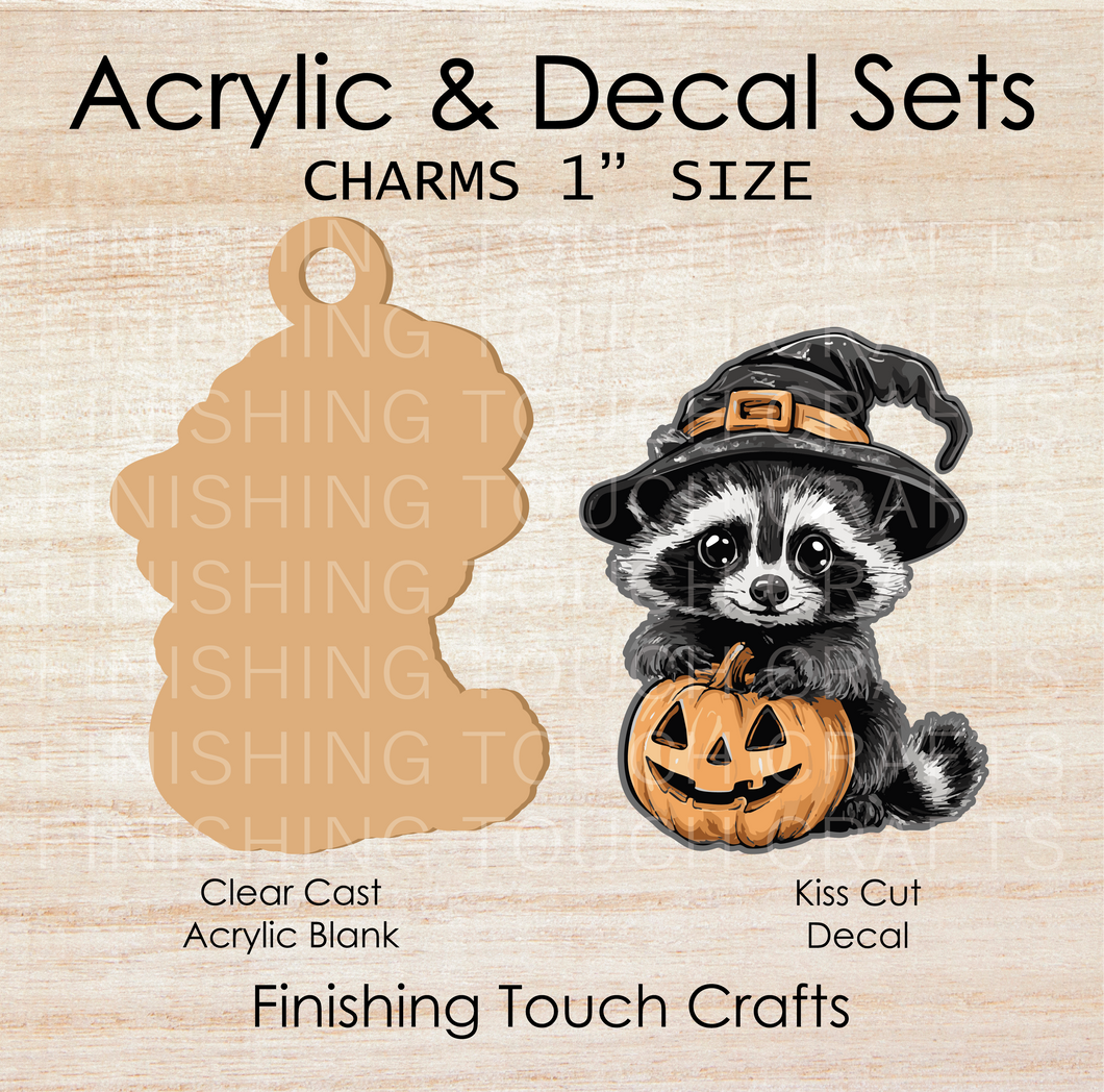 Raccoon Witch Charm Set of 4